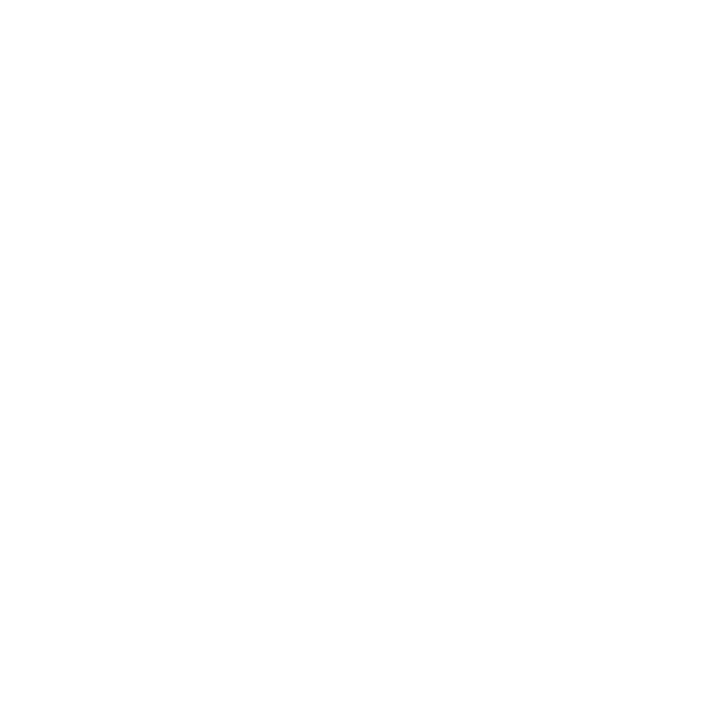 Boho X